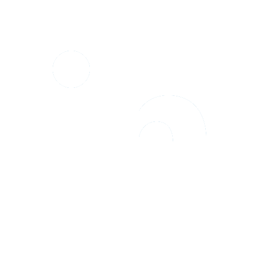 Linkedin icon